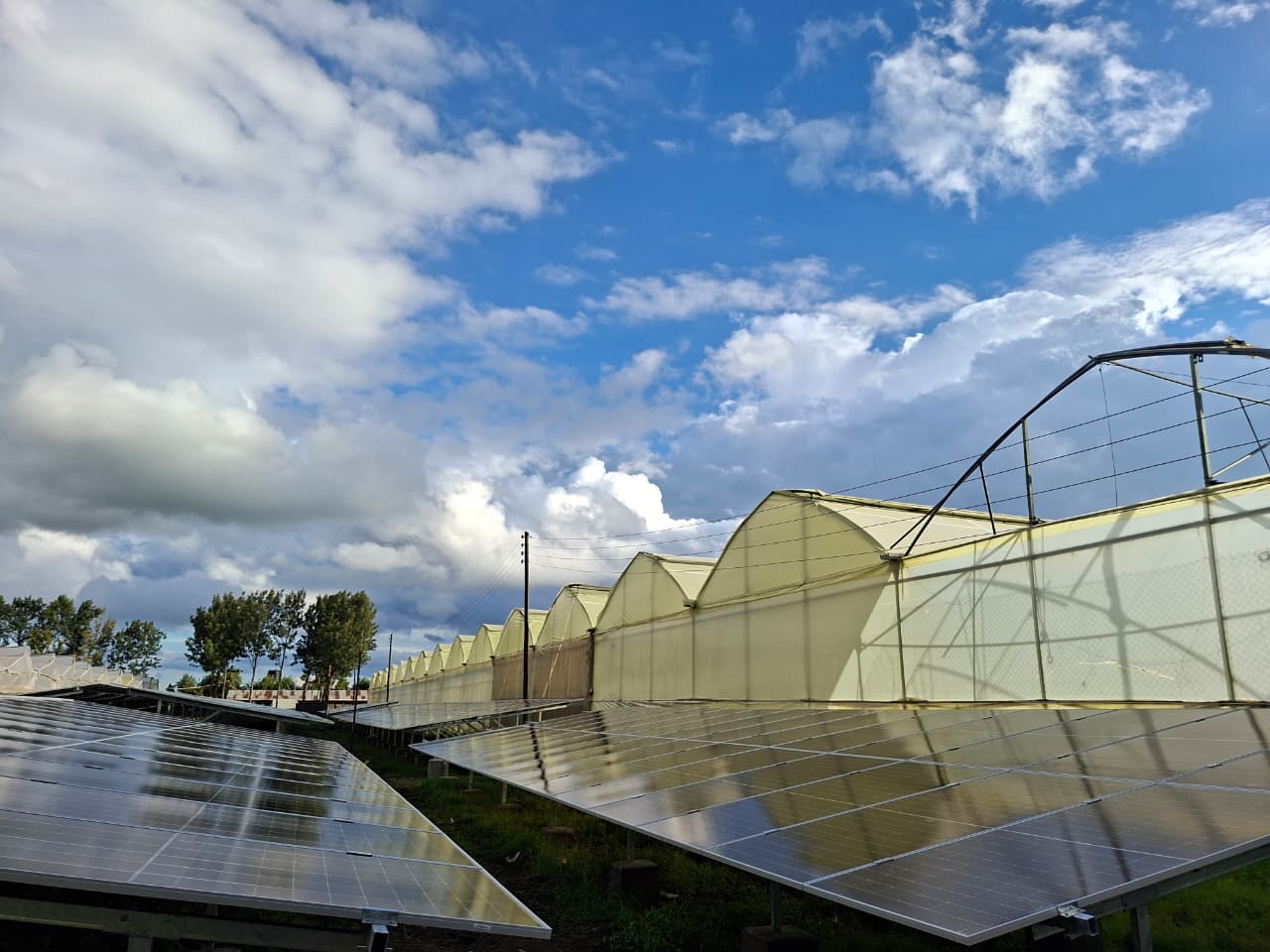 321kWp Grid-Tied image 152